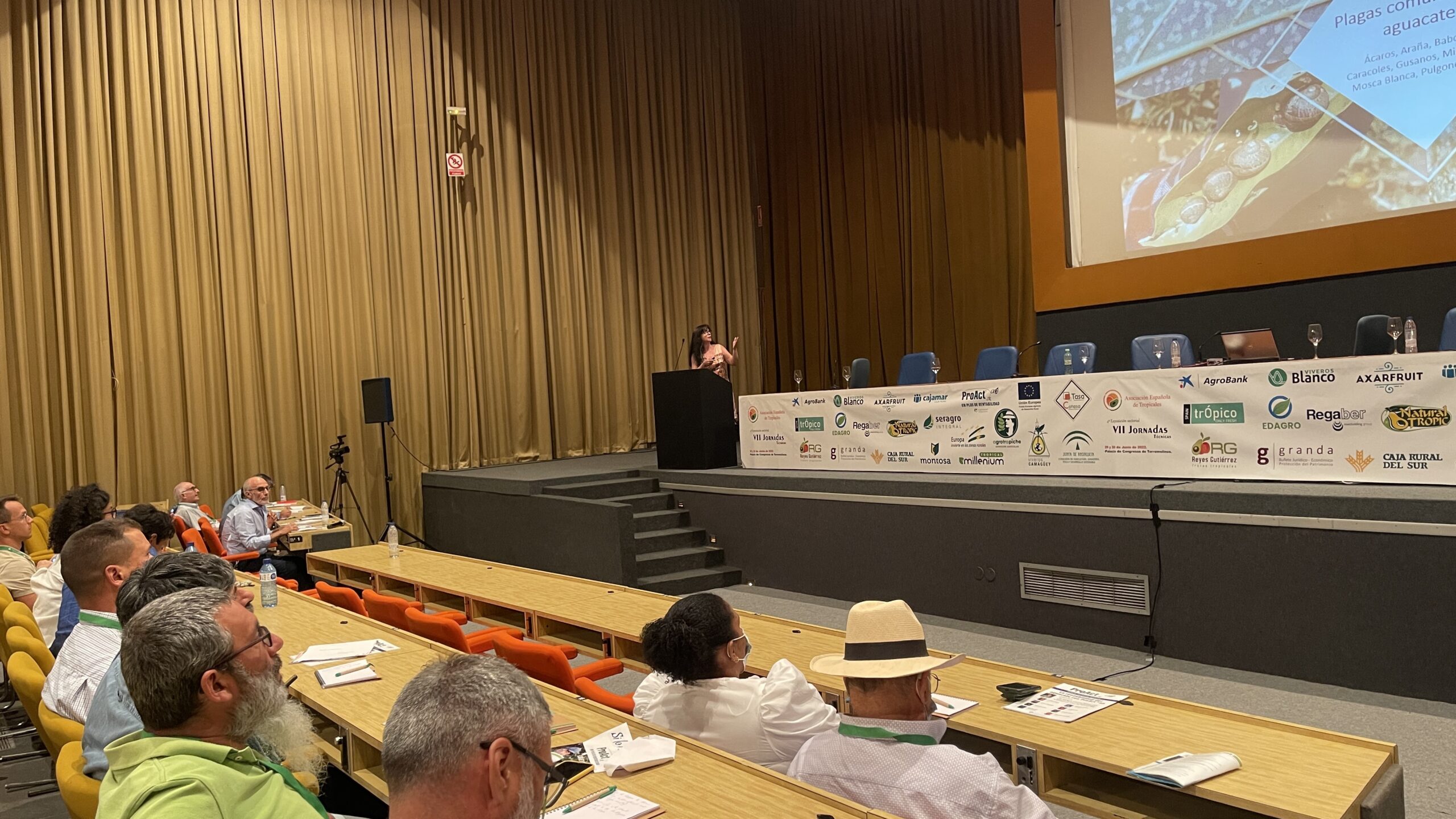 JORNADAS TROPICALES 2022|PLANTACIÓN aguacate|jornada cultivos TROPICALES 2022